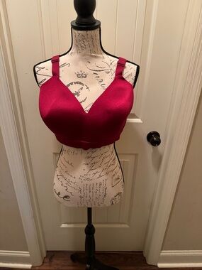 Cacique Deep Berry Seamless Padded Bralette